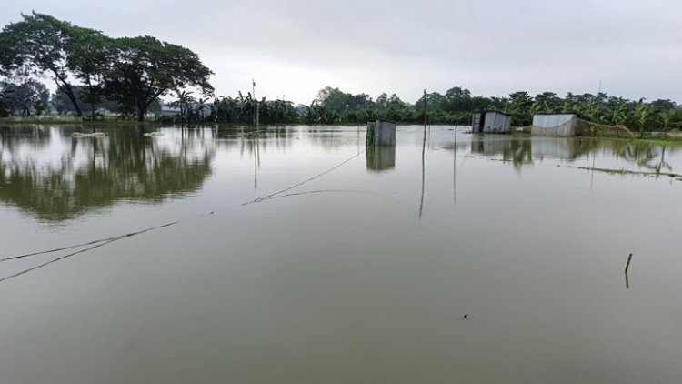 চার জেলায় ফসল ও মাছের খামারের ব্যাপক ক্ষতি