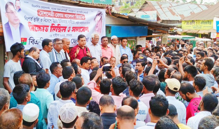 খালেদা জিয়ার কোনো কিছু হলে কাউকে ছাড় দেয়া হবে না -ওয়ারেছ আলী মামুন