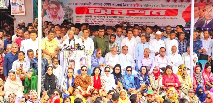 আ'লীগ সরকার নয়, এরা ভয়ানক দল : মির্জা ফখরুল