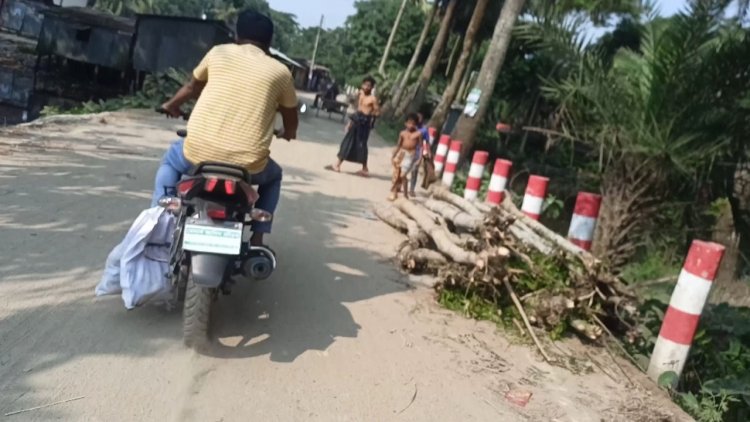 কনস্টেবলকে রেখে ইলিশ নিয়ে পালালেন পুলিশ কর্মকর্তা