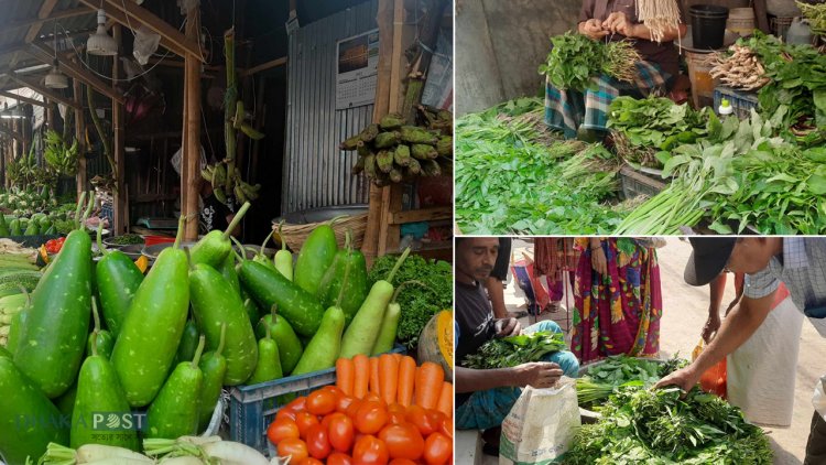 শাকের দাম বেড়ে দ্বিগুণ, সবজির দাম শুনে হতবাক ক্রেতা