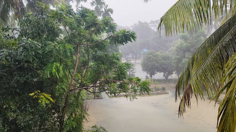 বরিশালে ১১৬ মিলিমিটার বৃষ্টিপাত, তলিয়ে গেছে সড়ক
