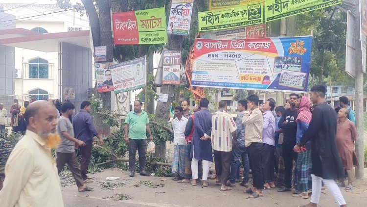 ঝোড়ো বাতাসে গা‌ছের ডাল ভে‌ঙে প্রাণ গেল ব্যবসায়ীর