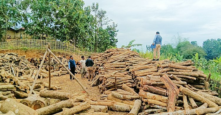 কয়লার বদলে কাঠ, ২ ইটভাটাকে দেড় লাখ টাকা জরিমানা