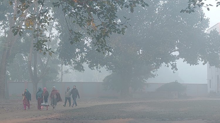 পঞ্চগড়ে মৃদু শৈত্যপ্রবাহ