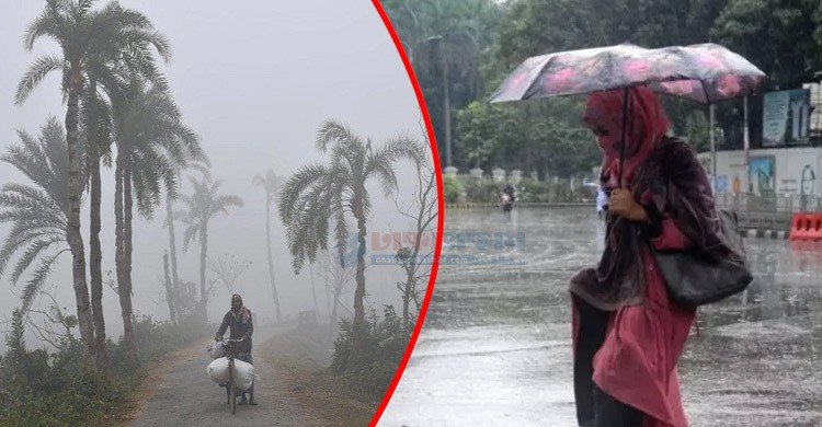 বৃষ্টির পর শীত আরও বাড়তে পারে, জানাল আবহওয়া অফিস