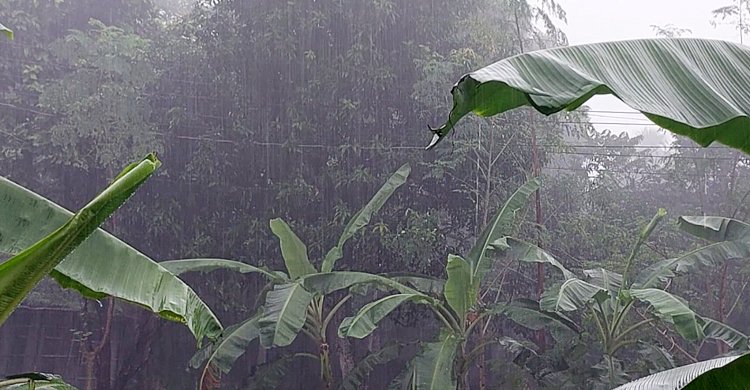  ৫ বিভাগে বৃষ্টির আভাস, আরও কমতে পারে তাপমাত্রা