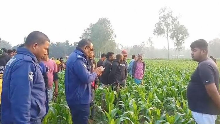 ভুট্টাখেতে মিলল নিখোঁজ ভ্যানচালকের গলাকাটা মরদেহ  