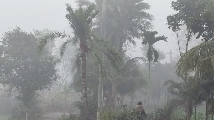 তেঁতুলিয়ায় দেশের সর্বনিম্ন তাপমাত্রা: শীতের মধ্যে ৪ বিভাগে বৃষ্টির আভাস