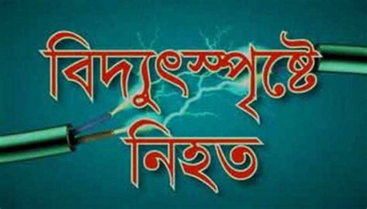  নোয়াখালীতে বিদ্যুৎস্পৃষ্টে ৩ নির্মাণশ্রমিক নিহত