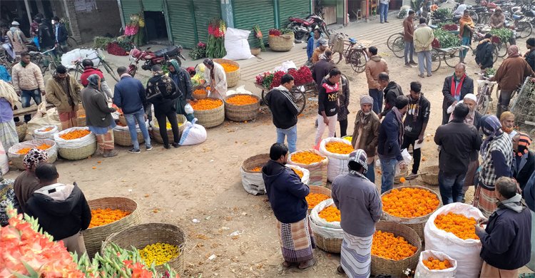 ফাগুন হাওয়ায় গাঁদা ফুলের আগুন দাম