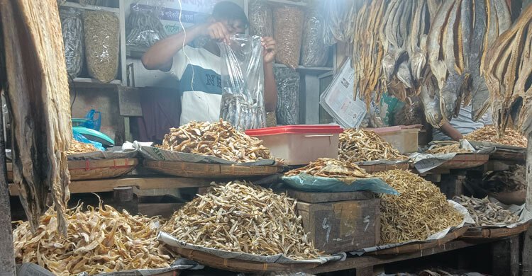 বসন্তের শুরুতে সবজির দাম কমলেও বেড়েছে ব্রয়লার মুরগি ও শুঁটকির