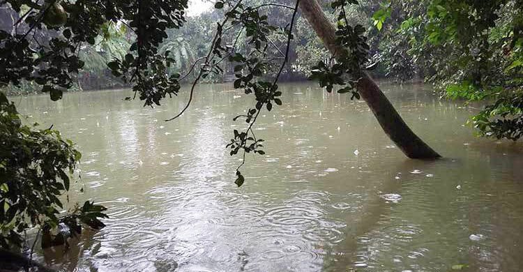  সপ্তাহ শেষে ফের বৃষ্টি হতে পারে