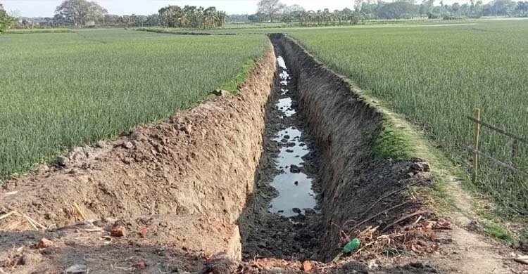  পেঁয়াজ ক্ষেতে খাল খনন করে ইটভাটায় মাটি বিক্রি মেম্বারের