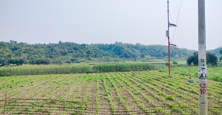  মিয়ানমারে বাংলাদেশি যুবককে গুলি করে হত্যা