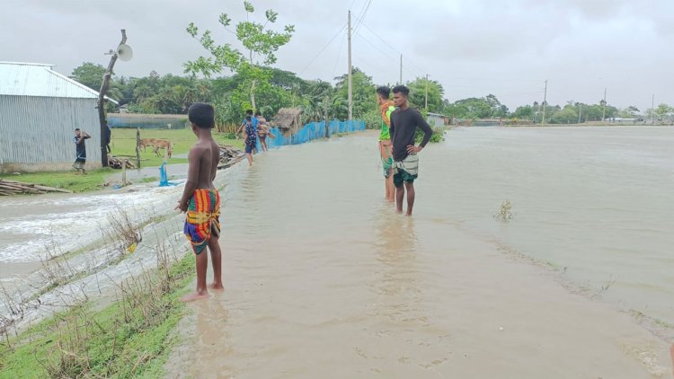 পটুয়াখালীতে বেড়িবাঁধ ভেঙে ২০ গ্রাম প্লাবিত