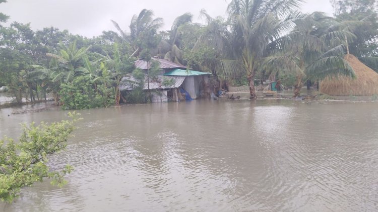 জোয়ারের পানিতে নিঝুমদ্বীপ প্লাবিত, ৫০ হাজার মানুষ পানিবন্দি