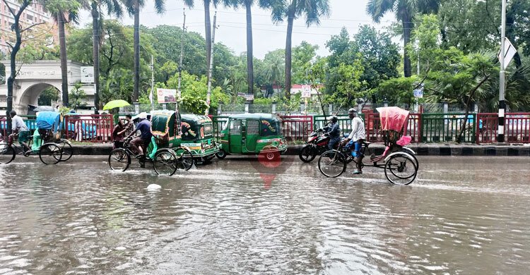 টানা বৃষ্টিতে নিউমার্কেটে হাঁটুপানি