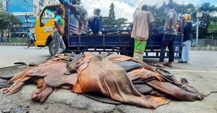 গাবতলী ব্রিজের উপরে চামড়ার বাজার বসানো যাবে না: তাজুল