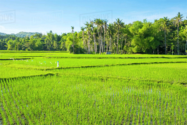 সরকারি সম্পত্তি উদ্ধারে ব্যস্ত আশুলিয়া রাজস্ব সার্কেলের সহকারী কমিশনার (ভূমি) ও নির্বাহী ম্যাজিস্ট্রেট