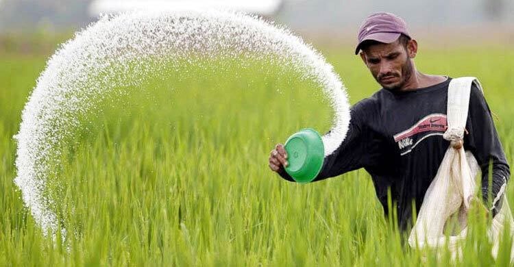  ৫৯২ কোটি টাকার সার কিনবে সরকার   