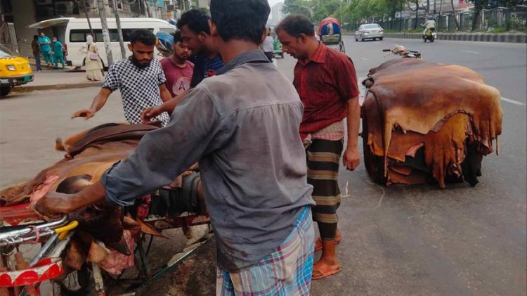 কাঁচা চামড়ার দাম কিছুটা বাড়লেও খুশি নন মৌসুমি ব্যবসায়ীরা