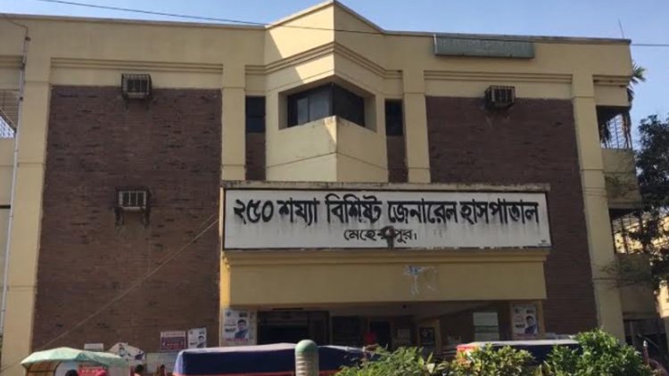 মেহেরপুরে বাড়ছে ডেঙ্গু, দেড়মাসে চিকিৎসা নিয়েছেন ৩৫০ রোগী