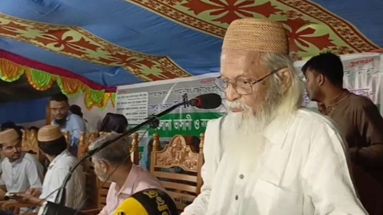 শেখ মুজিবের ছবি নামানোর বিষয়ে যা বললেন ফরহাদ মজহার