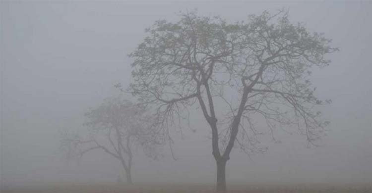  ৩ জেলায় মৃদু শৈত্যপ্রবাহ