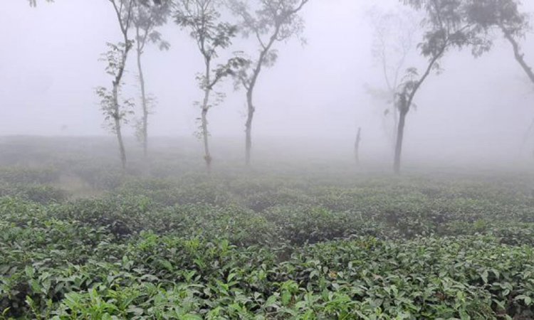 ৮.৯ ডিগ্রিতে কাঁপছে মৌলভীবাজার