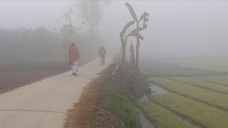 কবে থেকে শৈত্যপ্রবাহ, জানাল আবহাওয়া অফিস