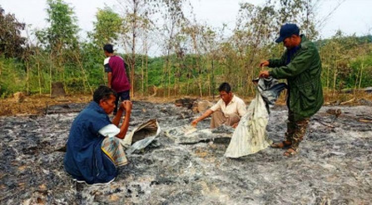 বান্দরবানে অগ্নিসংযোগের ঘটনায় ড. ইউনূসের নিন্দা