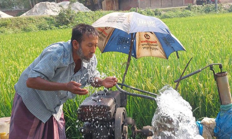 পাঁচ জেলায় বইছে মৃদু তাপপ্রবাহ