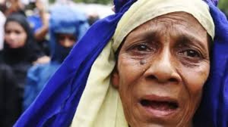 রোহিঙ্গা বিদ্রোহীদের বিরুদ্ধে যুদ্ধাপরাধের অভিযোগ, জবাবদিহি চায় ফরটিফাই রাইট