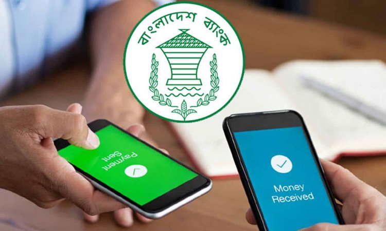 বিকাশ, নগদ ও রকেটে দিনে ৫০ হাজার টাকা পাঠানো যাবে