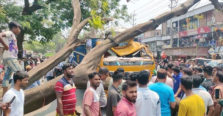 চলন্ত ট্রাকের ওপর ভেঙে পড়লো গাছের ডাল