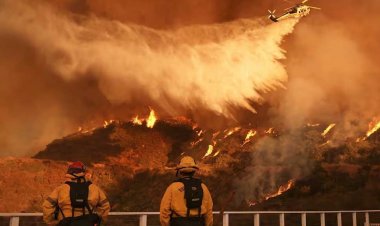 আগামী ৫ বছরের মধ্যে সব রেকর্ড ভাঙবে বৈশ্বিক তাপমাত্রা