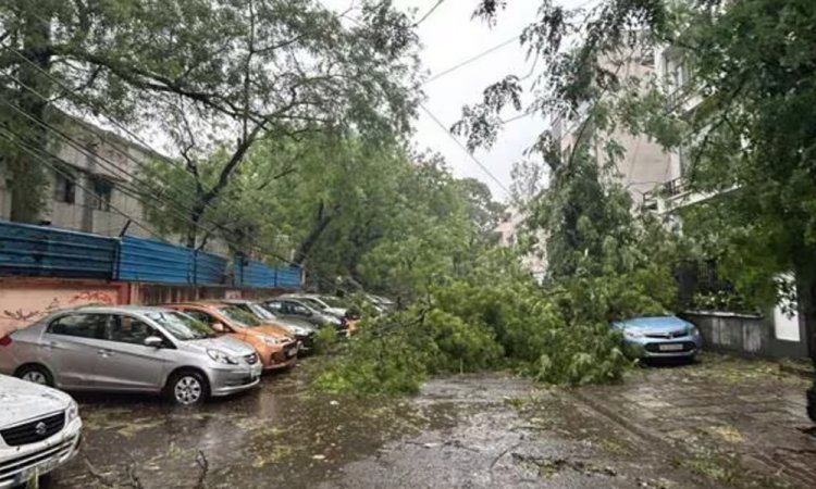 প্রবল বৃষ্টি ও ঝোড়ো হাওয়ায় বিপর্যস্ত দিল্লি, ৪ জনের মৃত্যু
