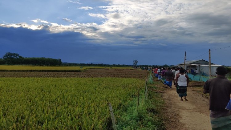 ভারতীয় নাগরিককে পুশইনের চেষ্টা, বিজিবির বাধায় বিএসএফের ককটেল বিস্ফোরণ