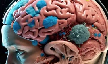 মানব মস্তিষ্কে ঢুকে পড়ছে ক্ষতিকর প্লাষ্টিক কণা