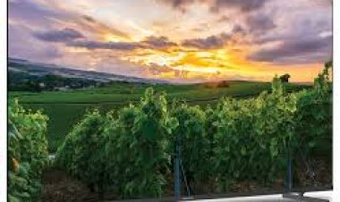 Thomson লঞ্চ করল ৪৩ ইঞ্চি QLED TV, 4K ডিসপ্লে ও রয়েছে ডলবি সাউন্ড