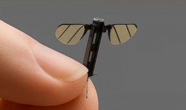 মশা আকৃতির নজরদারি ড্রোন তৈরি করল চীন