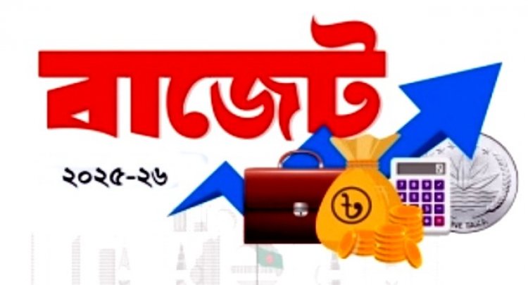 বাজেটে কোনো সংস্কার নেই, আকার কমছে