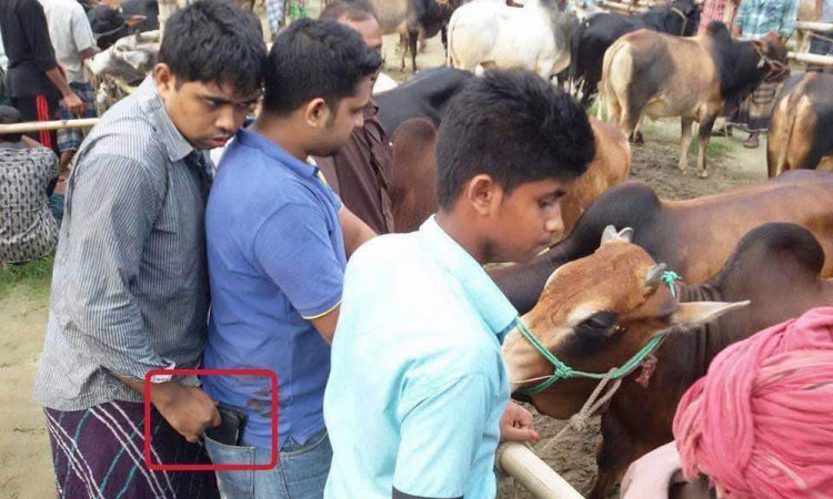 গরুর হাটে পকেটমার থেকে সাবধান!