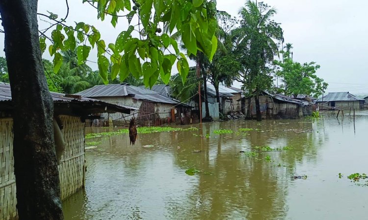 টানা বর্ষণে রাঙামাটিতে পাহাড় ও সড়ক ধস, নিচু এলাকা প্লাবিত
