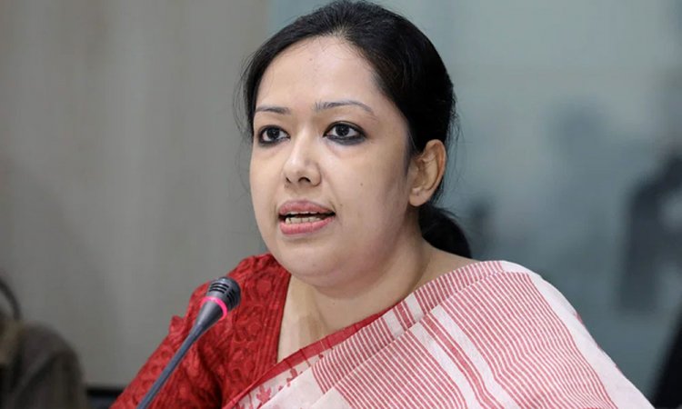 কতো মিথ্যাবাদী একটা সরকার হতে পারে : রুমিন ফারহানা