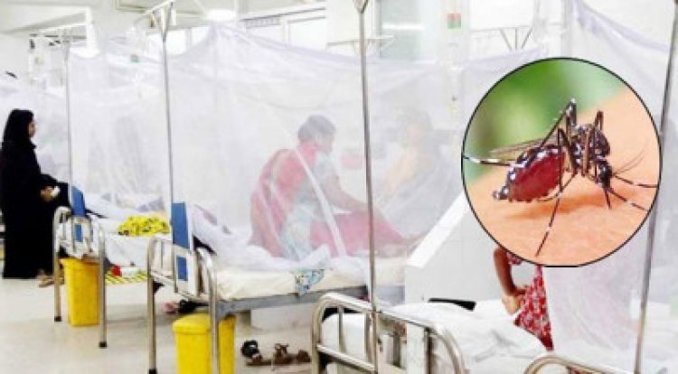 ডেঙ্গুতে আরও ২ জনের মৃত্যু, হাসপাতালে ভর্তি ৩২৬