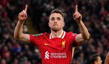 সড়ক দুর্ঘটনায় প্রাণ গেল লিভারপুলের পর্তুগিজ ফরোয়ার্ড দিয়োগো জোতার