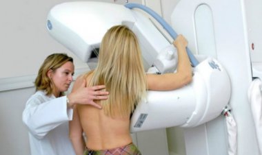 ব্রেস্ট ক্যান্সার প্রতিরোধে রোগ ছড়ানোর মূল সূত্র খুঁজে পেলেন বিজ্ঞানীরা