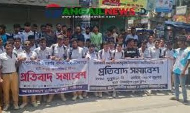 এনসিপির পদযাত্রায় যেতে জোর: টাঙ্গাইলে বিক্ষোভ সমাবেশ শিক্ষার্থীদের